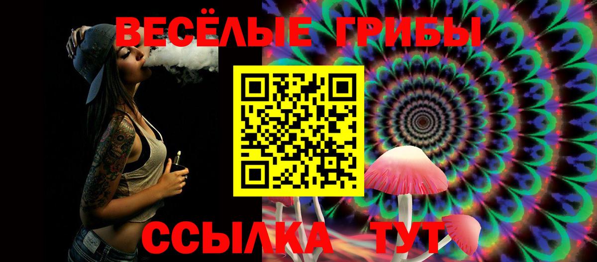 Энгельс  Псилоцибиновые грибы GOLDEN TEACHER  Вход с VPN 