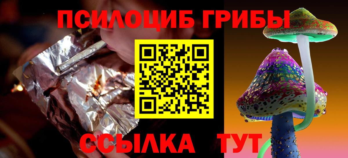 Галлюциногенные грибы Psilocybe Энгельс